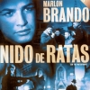 Nido de ratas (1954) DVDR