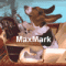 Avatar de MaxMark