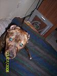 perfil/iltincho/albums/martina/605-a.jpg