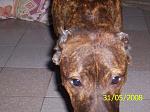 perfil/iltincho/albums/martina/607-chinita.jpg