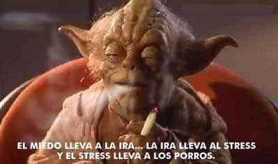 el maestro yoda