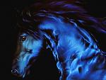 perfil/luz-azul/albums/sentimiento/996-caballo-magico.jpg