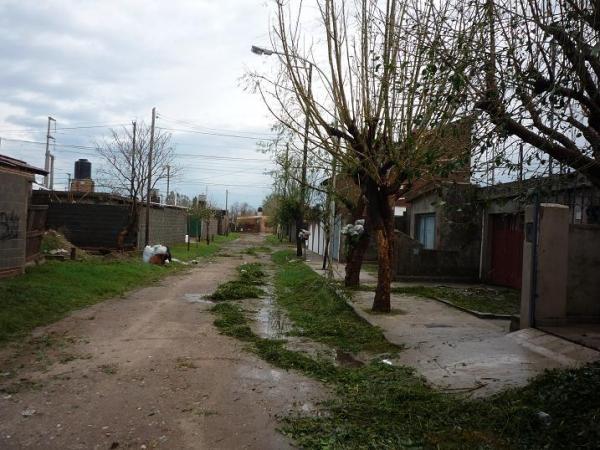 Este es uno de los barrios que quedo mas hecho bolsa por la piedra en Cba!!! Es en la casa de un amigo! Se puede apreciar la falta casi total de hojas en los arboles!