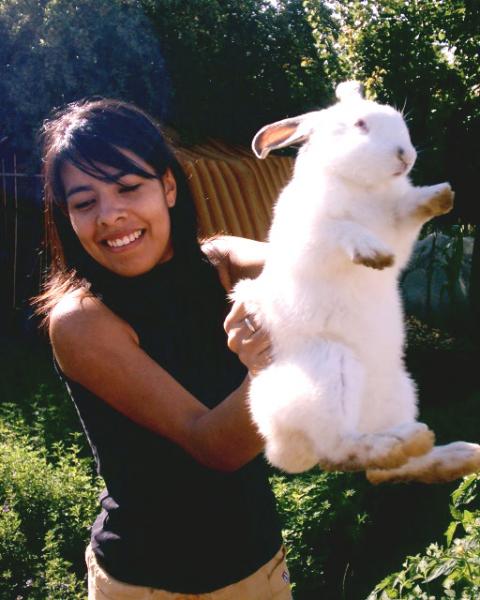 sosteniendo la coneja